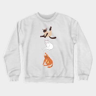 Funny sitting position of the cat Crewneck Sweatshirt